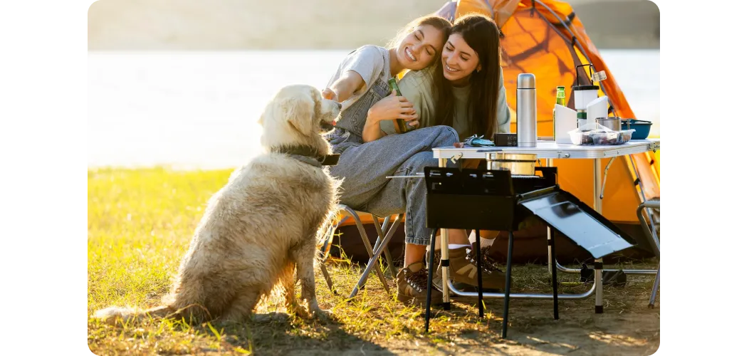 서울 마포 반려동물 캠핑장 도심 속 힐링 명소 가이드_1