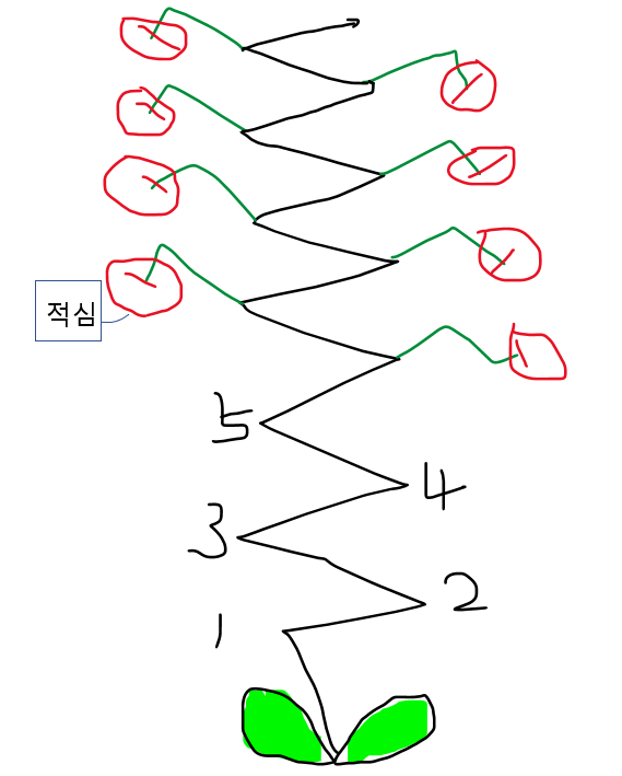오이순지르기