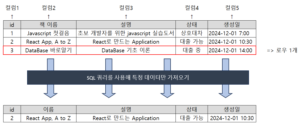 ERD 모델에서 컬럼과 로우에 대한 예시