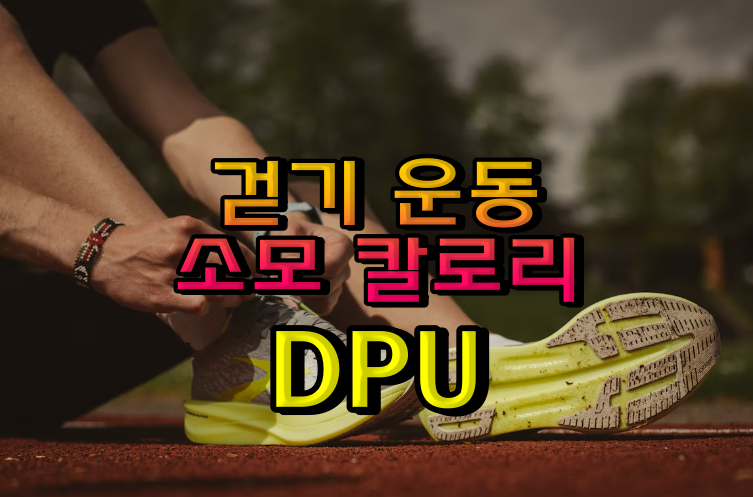 걷기-운동의-효과