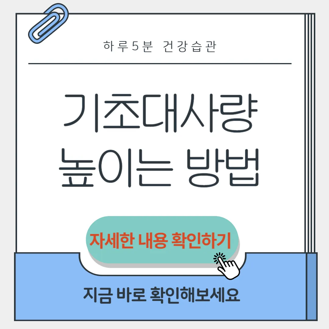 기초대사량 높이는 방법