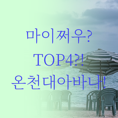 마이쩌우 TOP4 리조트 총정리, 아..