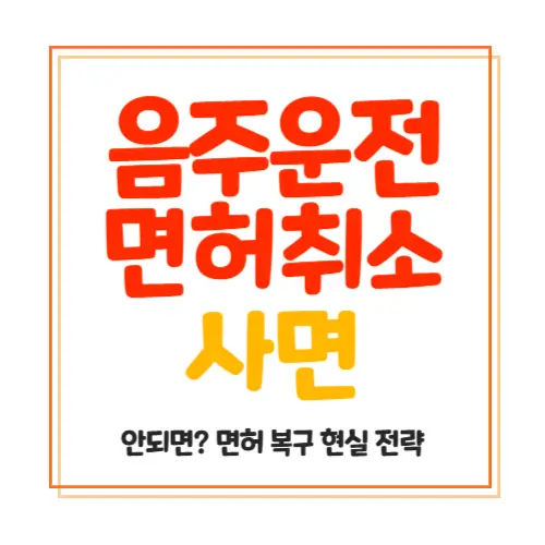 음주운전 면허취소 사면