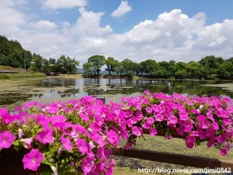 경산 가볼만한곳 베스트10 현지인 추천 필수코스_16