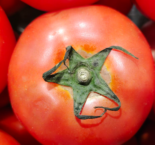 노브랜드 영업시간 알아보기