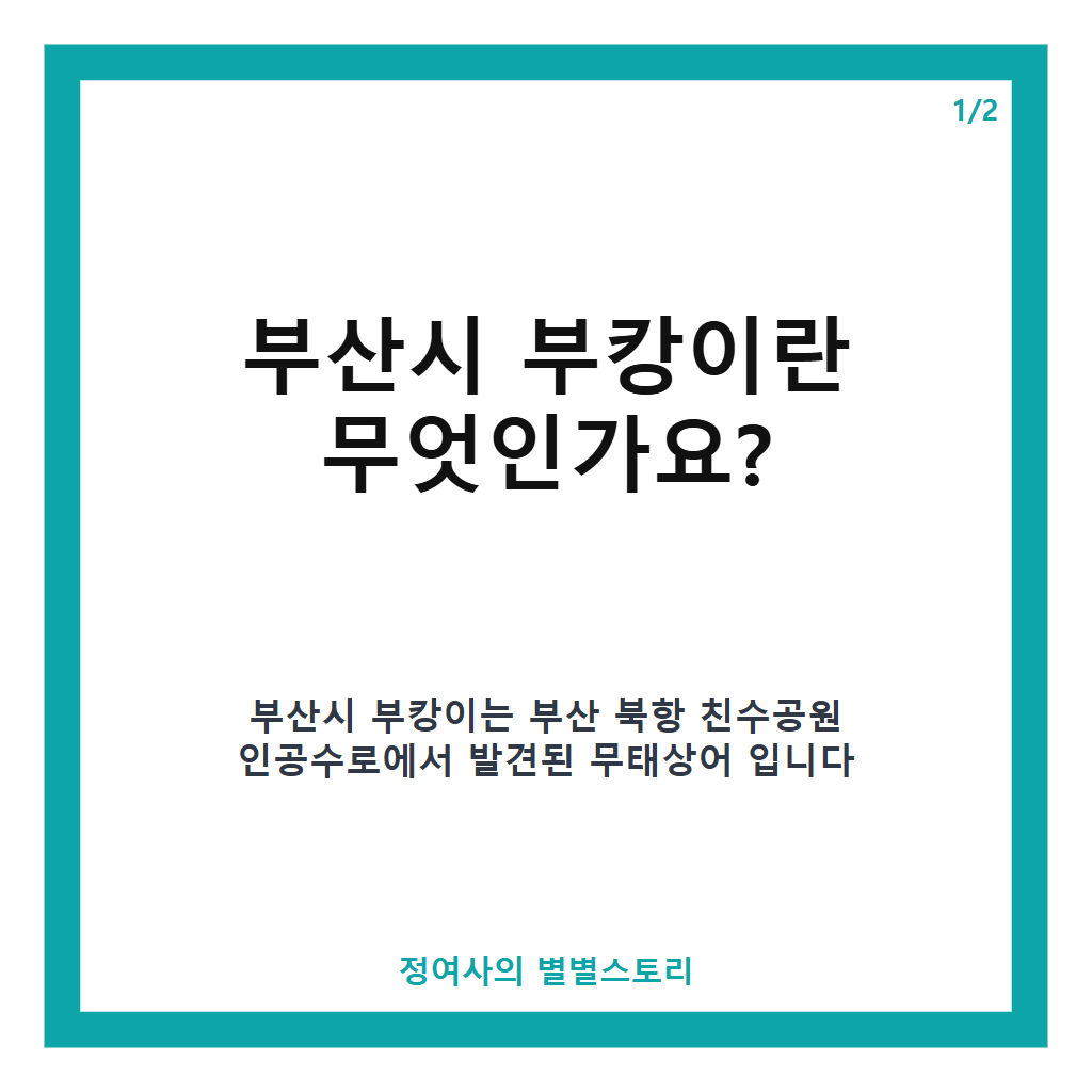 부산시 부캉이 명예홍보대사 위촉과 안전한 바다 복귀 계획 핵심 정리 카드뉴스 1
