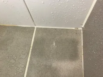 욕실 곰팡이 락스 희석비율과 안전수칙 환기방법_5