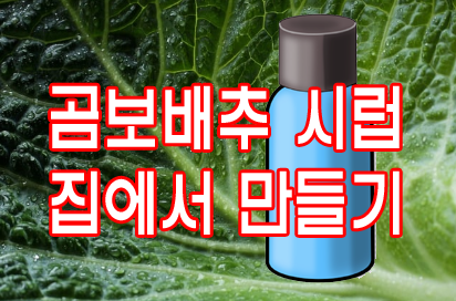 곰보배추 시럽 집에서 만들기