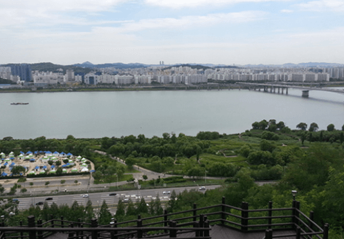 [서울둘레길 15코스 노을&middot;하늘공원] 초보자도 걷기 좋은 복원된 자연길 완벽 가이드