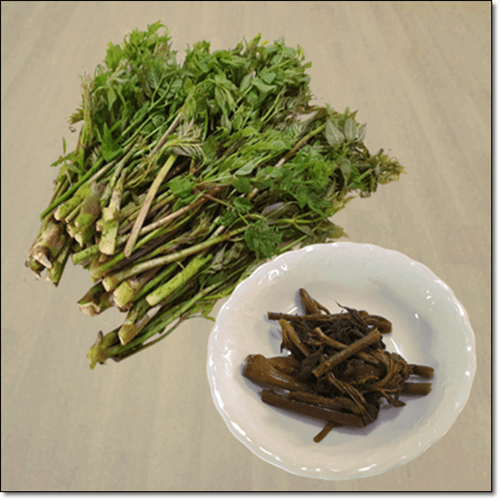 엄나무 순 효능