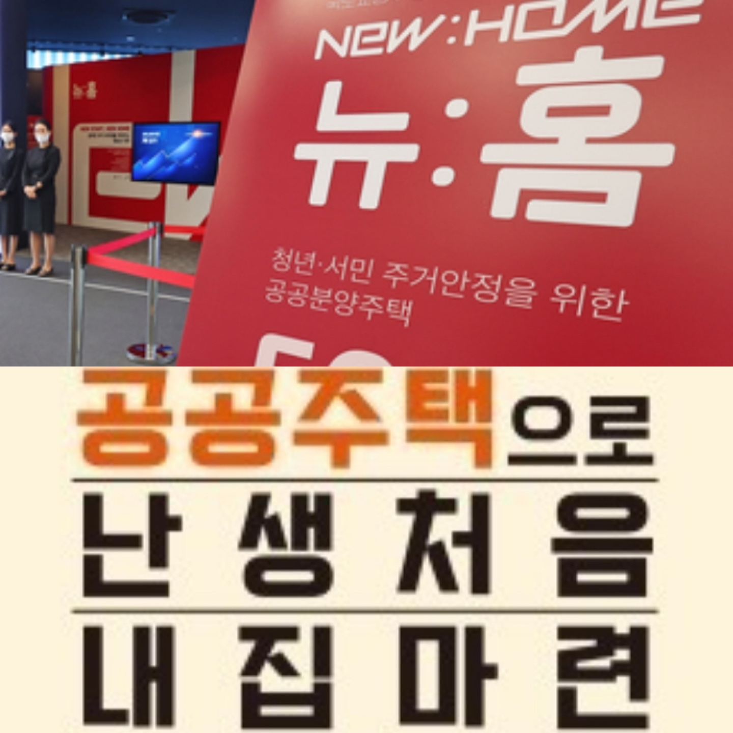 '뉴: 홈' 청약 공공주택 청약 공공 분양 주택 정책