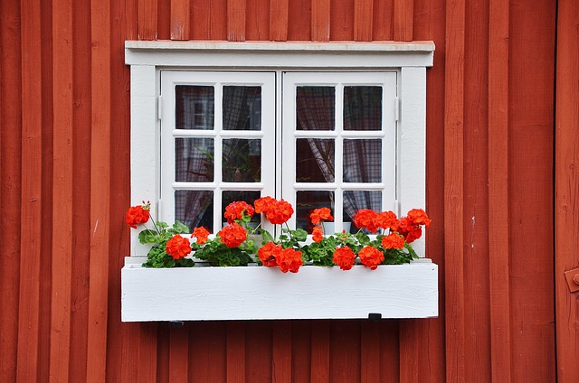 경기도청년기본소득