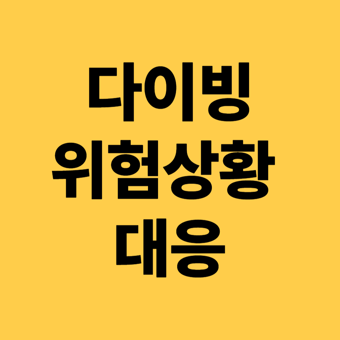 다이빙 위험상황 대응