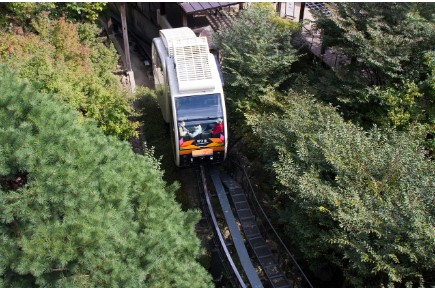 화담숲 모노레일