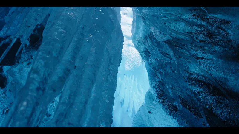 한여름 밤의 빙하 콘서트