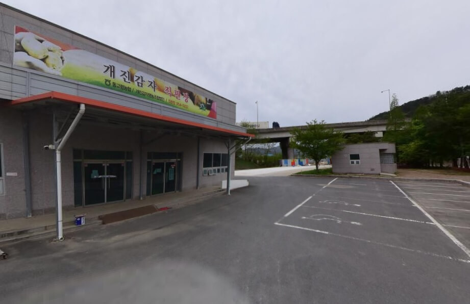 6시 내고향 경북 고령 개진감자 직판장 감자구매방법