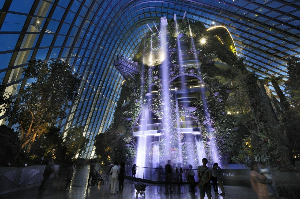 싱가포르 여행 추천 싱가포르 클라우드 포레스트