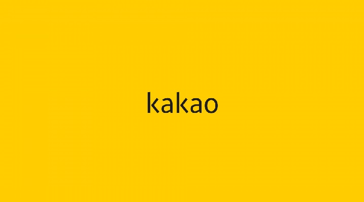 카카오 주가 시총 1.7조 증발 향후 카카오가 입을 타격은?