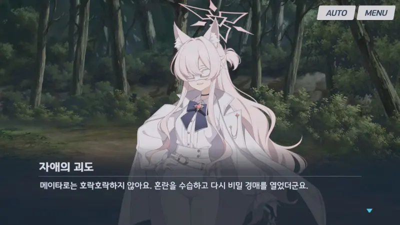 메이타로의 현 상황에 대해 알려주는 자애의 괴도