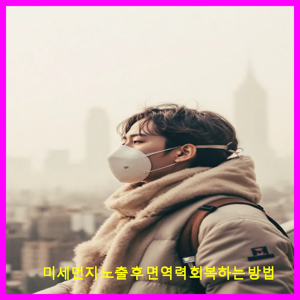 미세먼지 노출 후 면역력 회복하는 방법