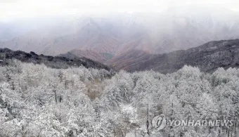 2025년 8월 지리산 날씨 옷차림 복장 준비물 여행 꿀팁_2