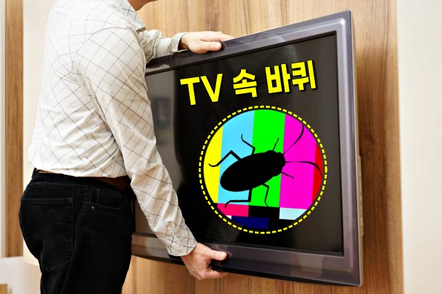 중고tv, 당근마켓 중고나라 직거래 반품 되나요?