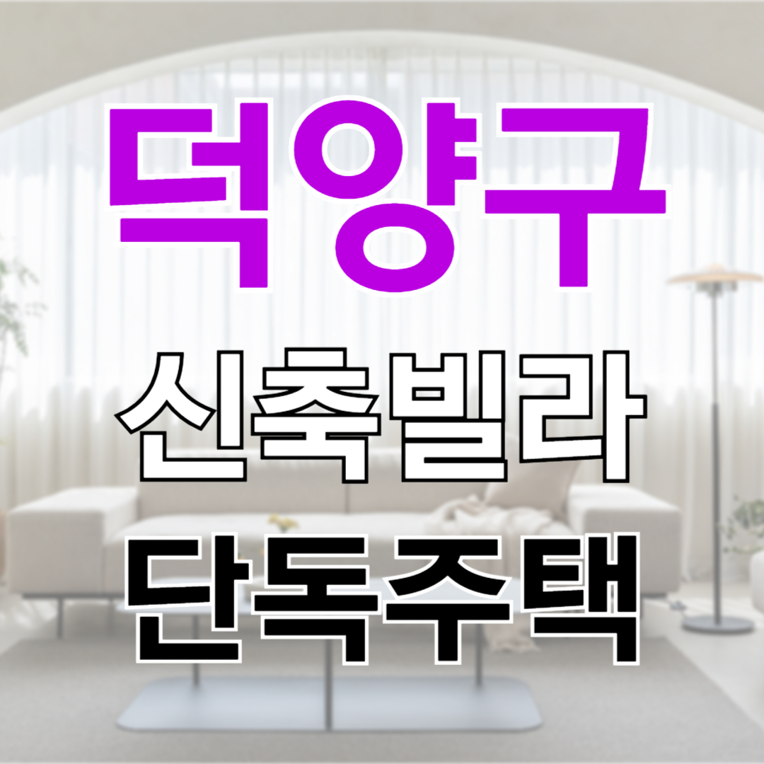 덕은동 능곡동 복층 신축 빌라 테라스있는 3룸 4룸 주택 아파트