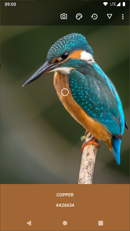 색상 추출기, 이미지에서 색상 추출, 팔레트 생성 및 저장하기