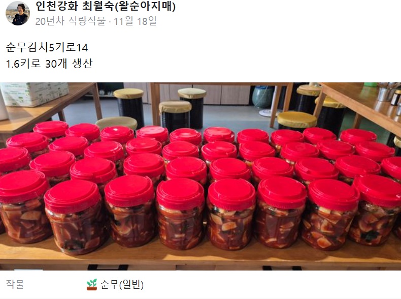 김치없이는못살아-강화도-순무김치