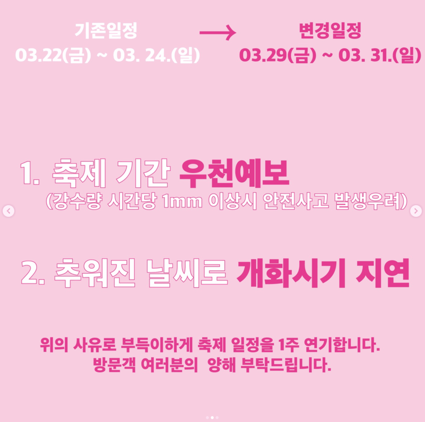 경주 벚꽃축제 연기 일정 대릉원돌담길 교통통제 주차