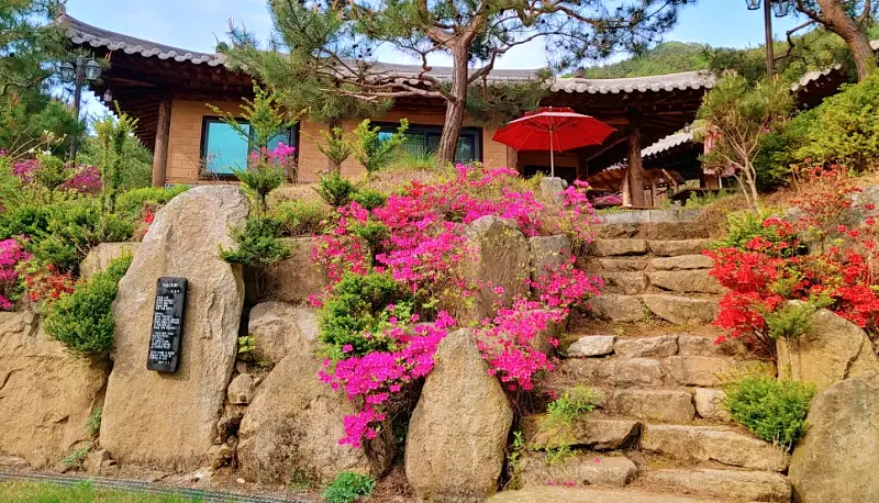충청 괴산 SNS 화제 비디오 힐링찾아 떠나는 여행 산촌 생태마을 가볼만한 곳 추천