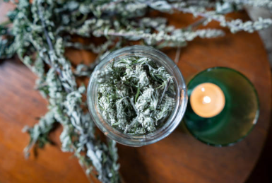 쑥 7가지 효능 및 캐는 시기 (+ 요리 된장국 끓이는 법 보관방법)