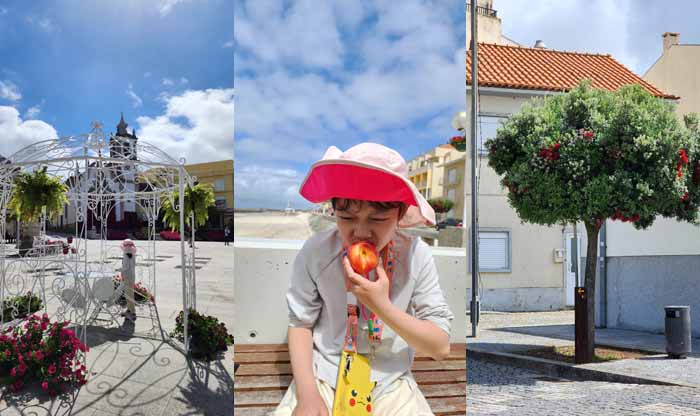 랑스러운 앙코라 거리, 포르투갈 복숭아맛, 예쁜 포르투갈 가로수