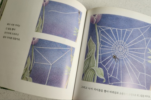 멋진 거미