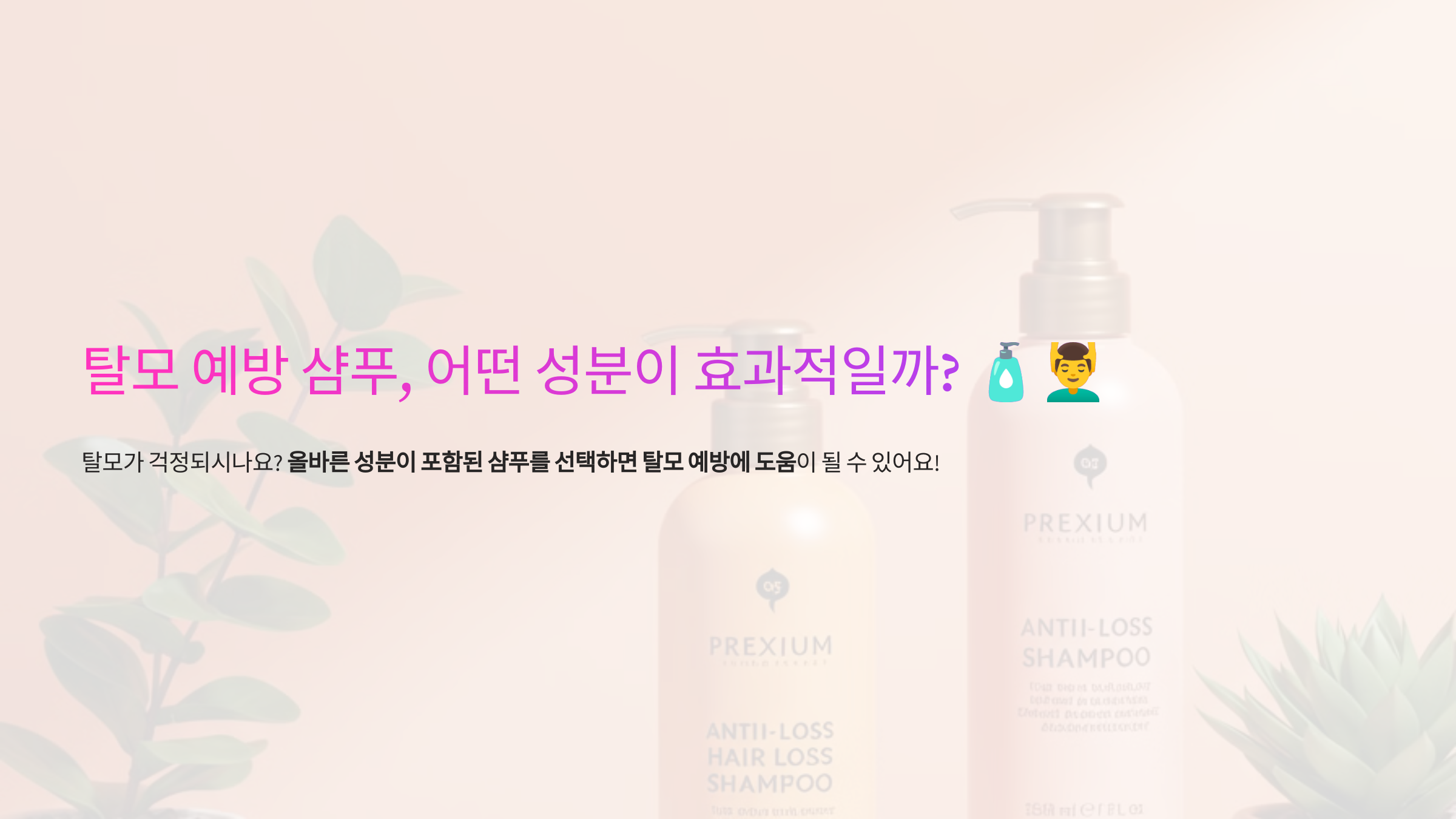 탈모 예방 샴푸 관련 이미지