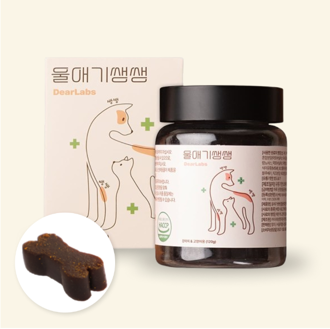 강아지 치아 관리