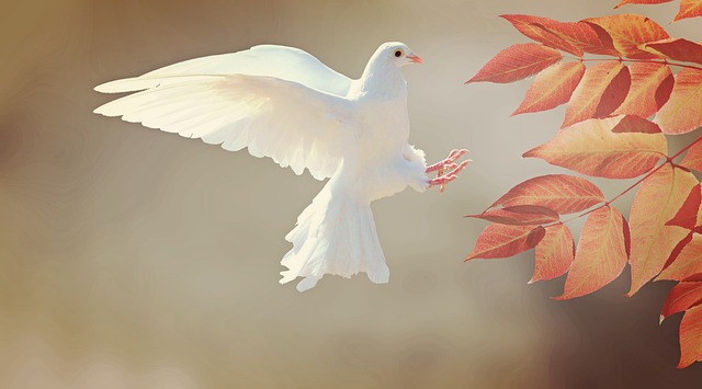 거북고기 요리에 어울리는 재료 조합 알아보기