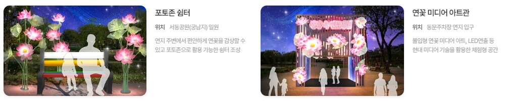 부여 서동 연꽃 야간조명 & 문화공연