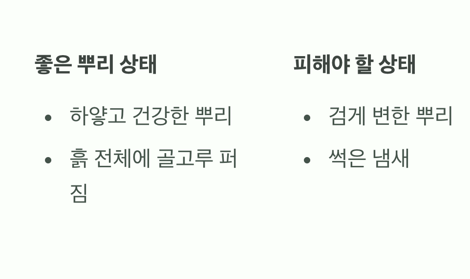 뿌리&amp;#44; 흙 속의 숨겨진 심장