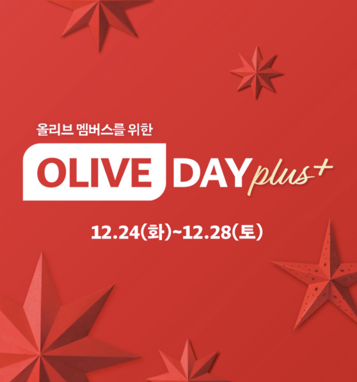 12월 올리브 데이 플러스