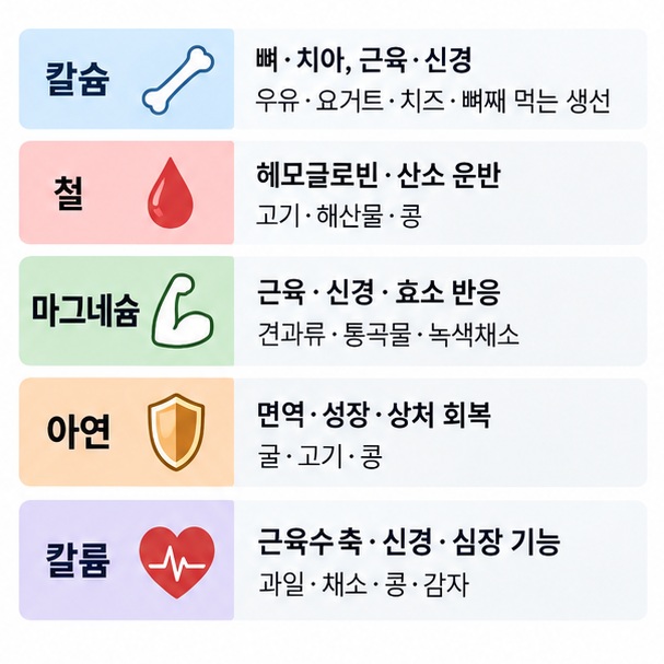 칼슘 철 마그네슘 아연 칼륨의 주요 역할과 우유 고기 콩 견과류 채소 등 대표 음식 공급원을 비교한 이미지