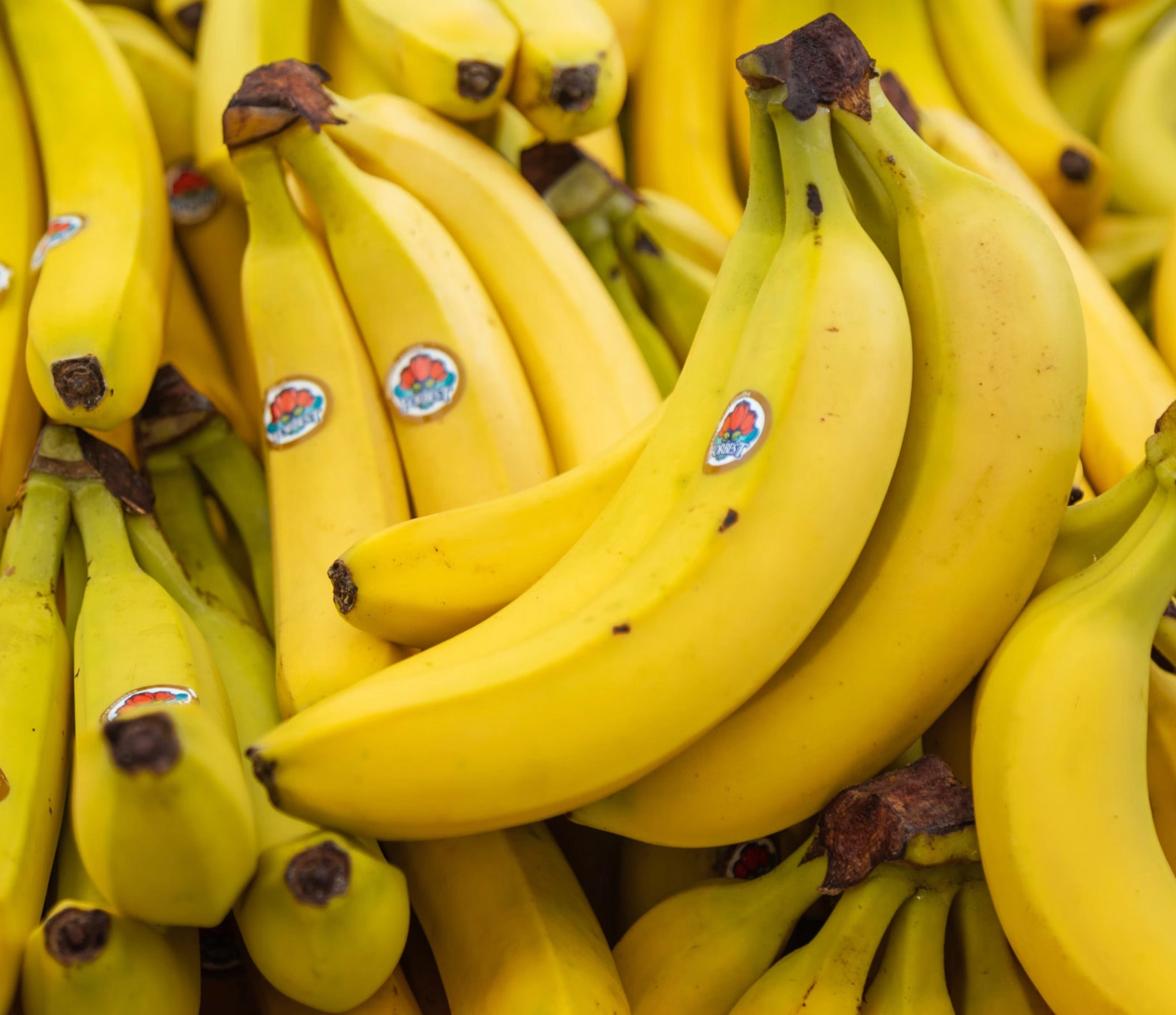 냉동 아보카도 바나나주스