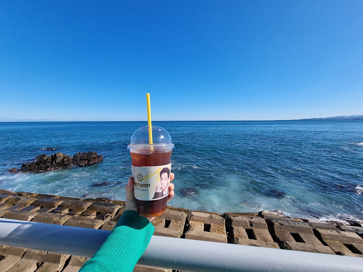 동해 묵호 여행 경비 아끼는 방법|현금처럼 쓰는 동해페이 혜택, 사용처 총정리