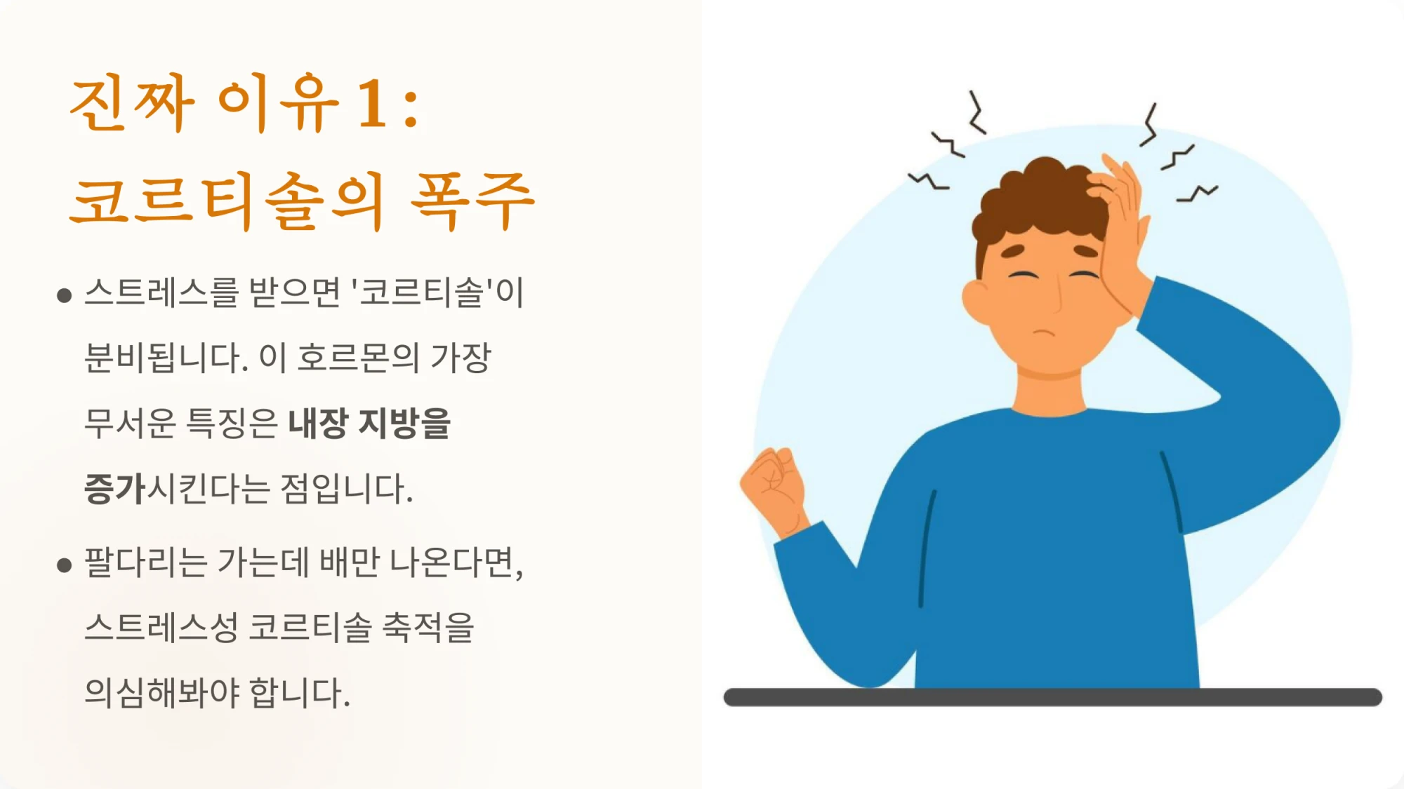 중년 뱃살의 첫번째원인인 코르티솔 폭주에대한 설명과 일러스트