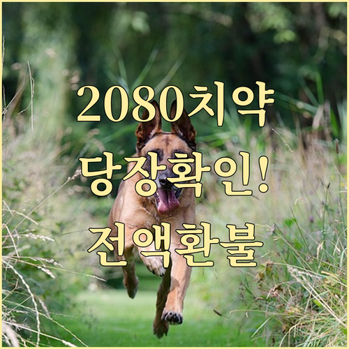 2080 치약 특정 로트 번호 회수 ..