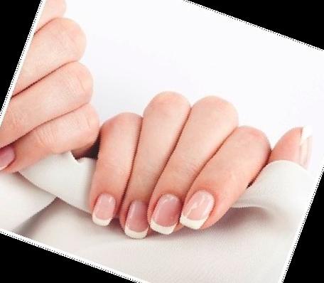 손톱 바디 기르기