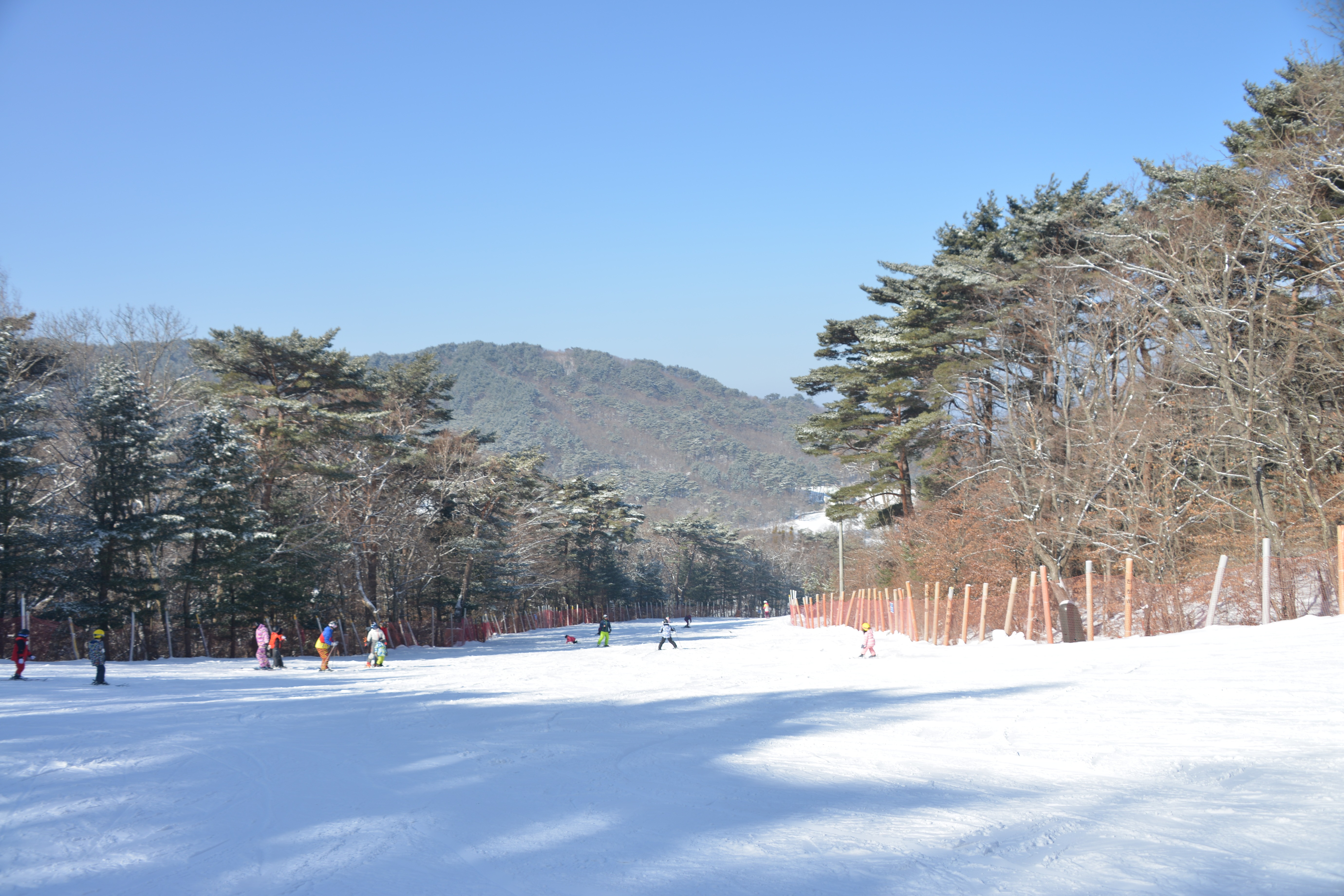 2025/2026 무주덕유산리조트 스키장 시즌권 렌탈 할인 완벽 가이드