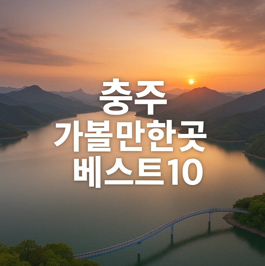 충주 가볼만한곳 베스트10