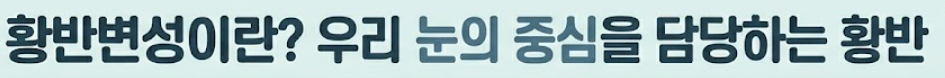 황반변성 증상