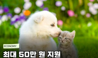 민생회복 지원금 3차 신청방법 소비쿠폰 금액
